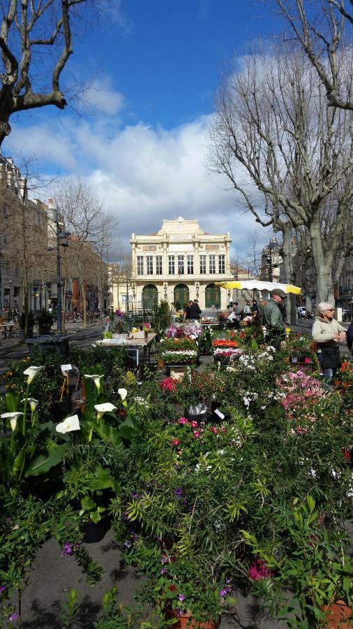 Appartement Centre Historique Béziers Kültér fotó